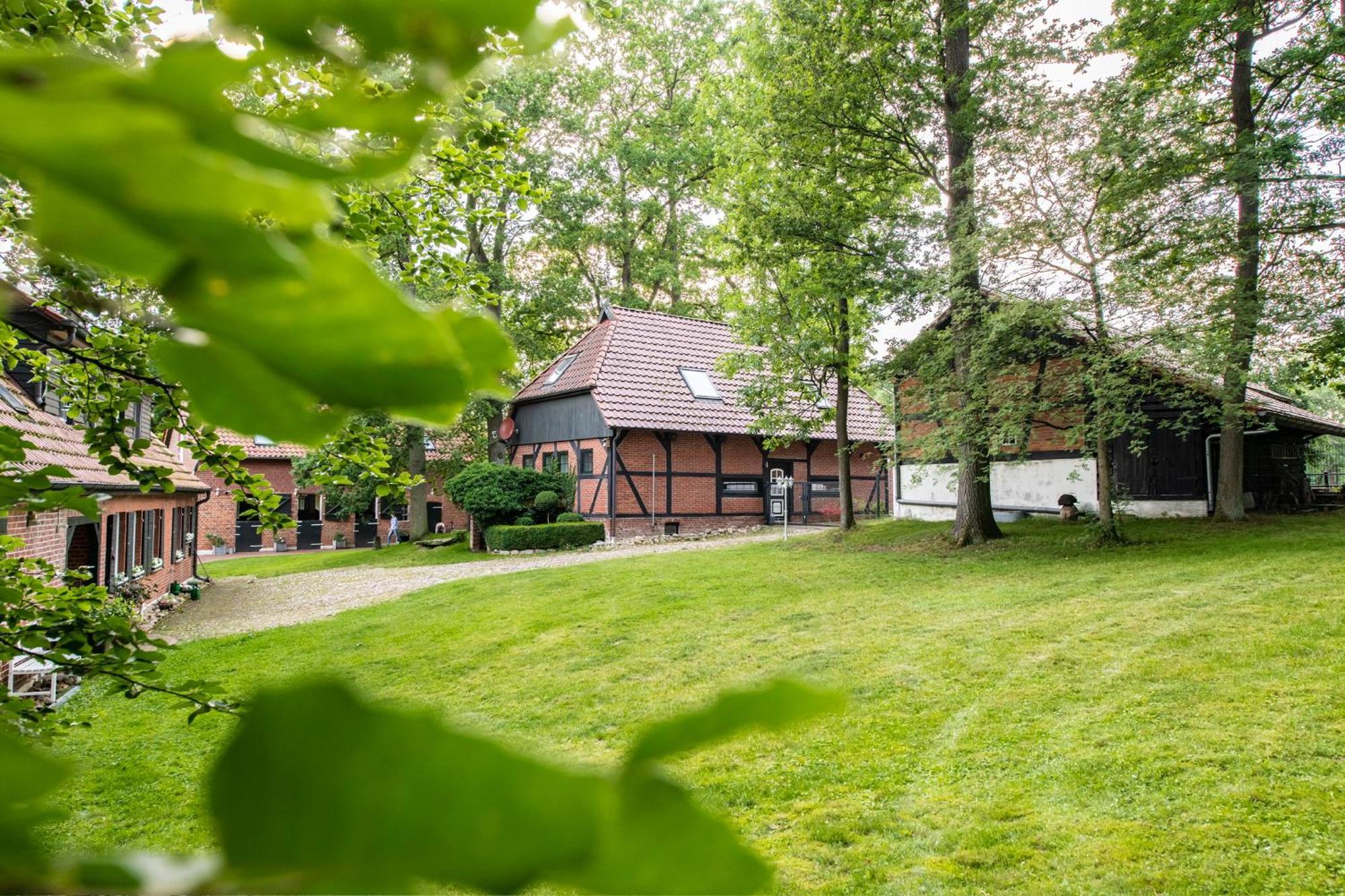 Traumhaftes Anwesen In Der Lueneburger Heide Apartment Soltau Exterior foto